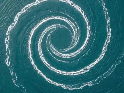 The Ancestral Memory Of Water