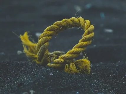 The Anchor Of The Breath