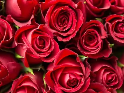 The Ancient Egyptian Myth Of Isis And Osiris