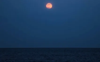 The Ancient Island | A Guided Nature Immersion