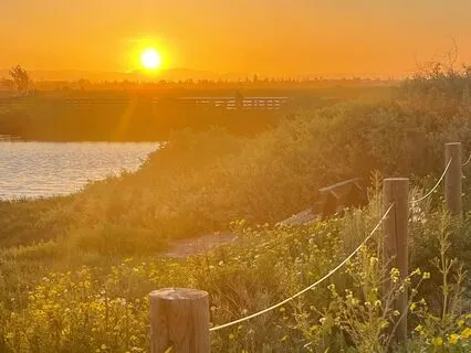 The Angel Spa: Affection And Affirmations