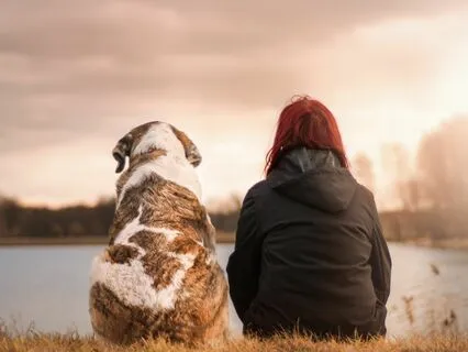 The Animals We Grieve