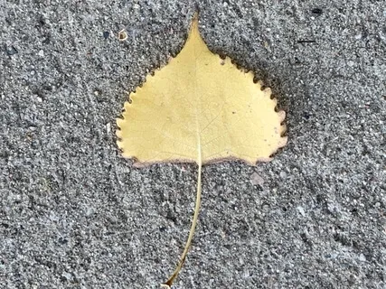 The Answer Is Practice