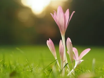 The Answers Are All Here