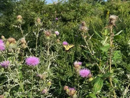 The Answers Are Within You