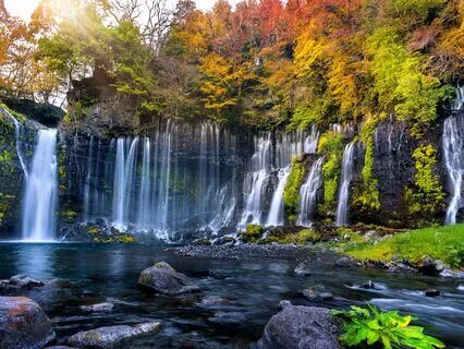 The Antidote To Stress