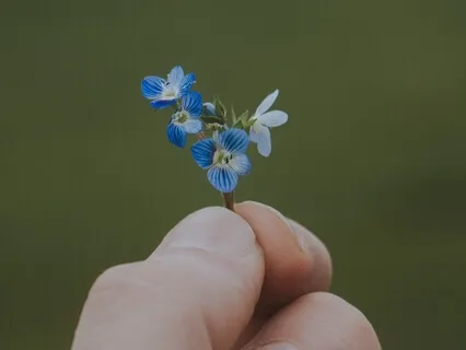 The Arrival Of Now - Ambient Electric Guitar Sounds