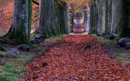 The Art And Practice Of Gratitude