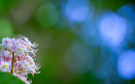 The Art And Practice Of Surrender