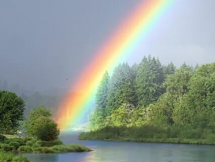 The Art Of Acceptance