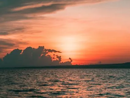 The Art Of Acceptance