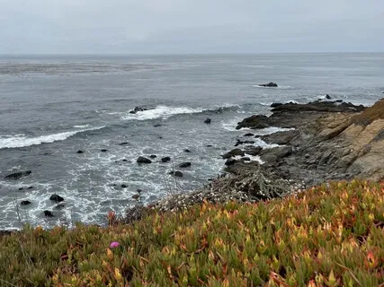 The Art Of Appreciation