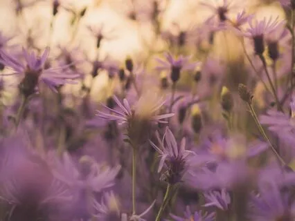 The Art Of Body Awareness And Intention-Setting