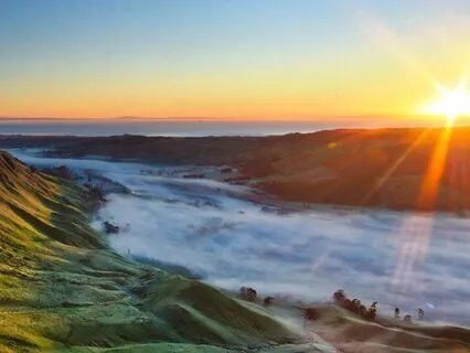 The Art Of Concentration