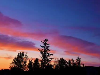 The Art Of Conscious Exchange