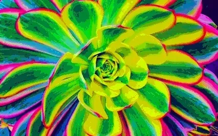 The Art Of Creating A Feeling Of Safety