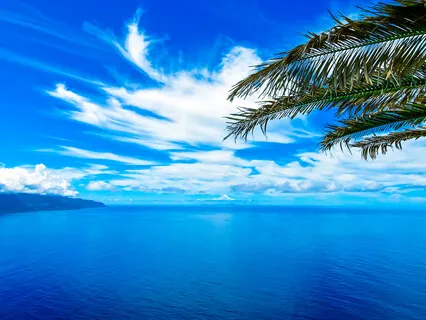 The Art Of Doing Nothing