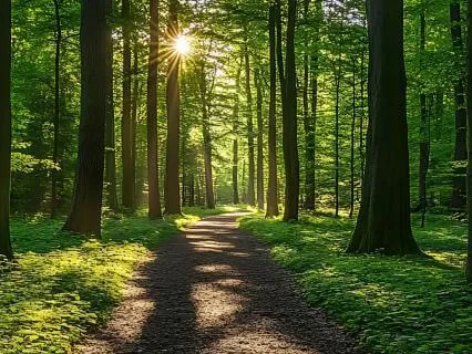 The Art Of Focus: Dharana In A Distracted World