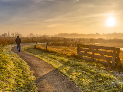 The Art Of Forgiveness