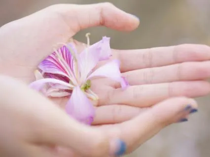 The Art Of Giving & Receiving