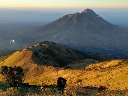 The Art Of Letting Go