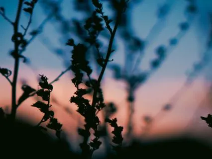 The Art Of Letting Go | 32-Minute Sound Journey