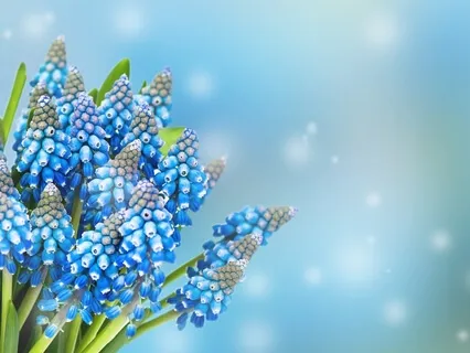 The Art Of Letting Go