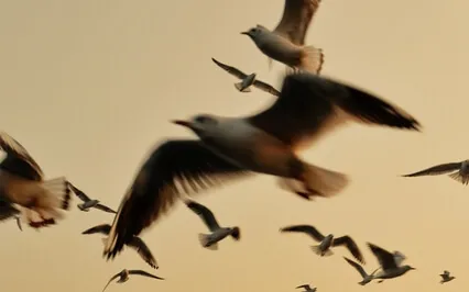 The Art Of Letting Go