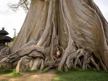 The Middle Way: Balancing Extremes For Inner Peace