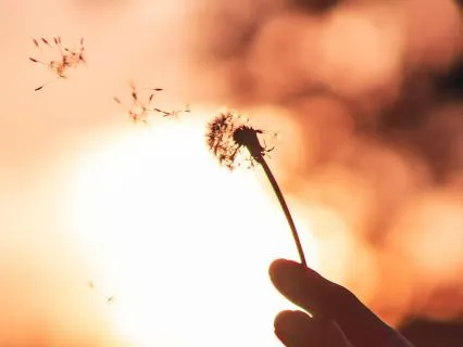 The Art Of Letting Go