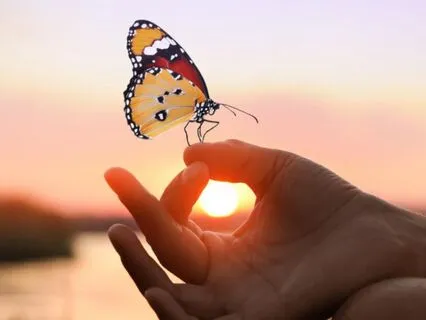 The Art Of Living Fully From The Heart