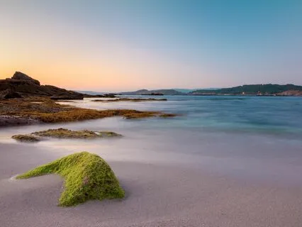 The art of mindfulness "Cultivation"