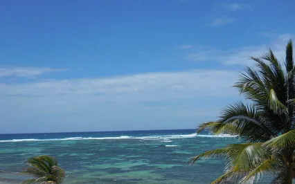 The Art Of Not Being Sad Or Lonely 