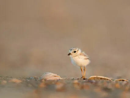 The Art Of Not Sharing