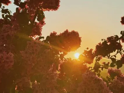 The Art Of Preparedness: A Somatic Ritual For New Beginnings