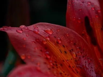 The Art Of Receiving From The Divine