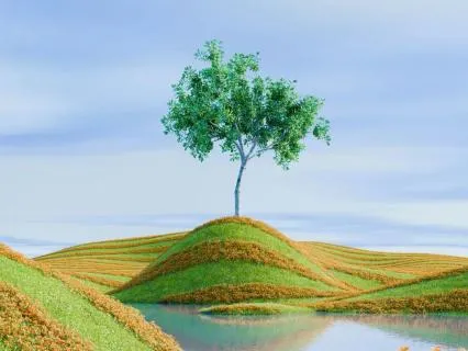 The Art Of Receiving: Trust, Receive, Allow