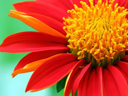 The Art Of Relaxation (Part 2 Awareness)