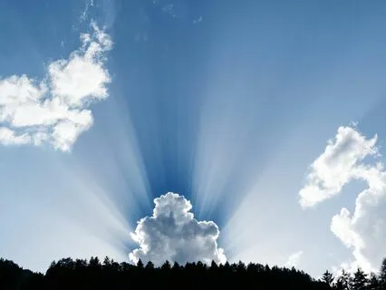 The Art Of Saying No Without Guilt