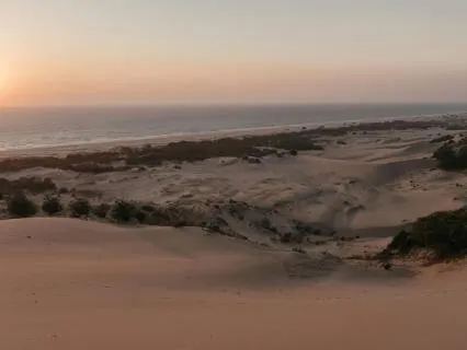 The Art Of Sleep - Oceans