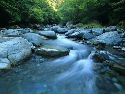 The Art Of Wu Wei - Living In Harmony And Balance...