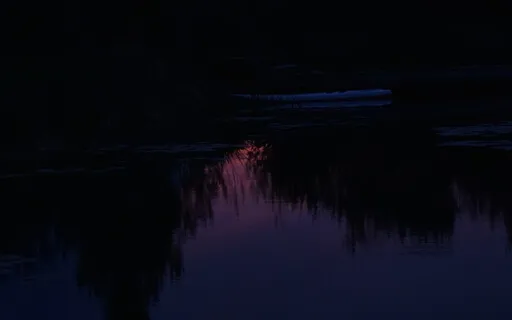 Astrology & Archetypes: Deepen Your Self-Understanding