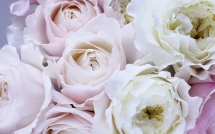 The Attitudes Of Mindfulness - Generosity