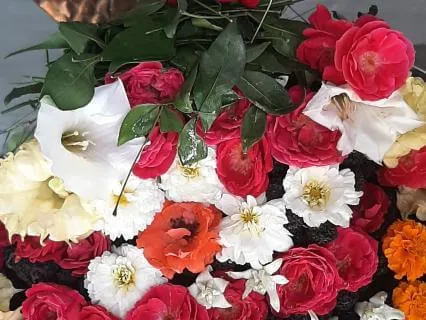 The Auspicious Self - Om Shivam