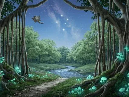 The Australian Rainforest At Night Sleep Story