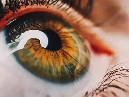 The Authentic Seer - Self-Enquiry Contemplation