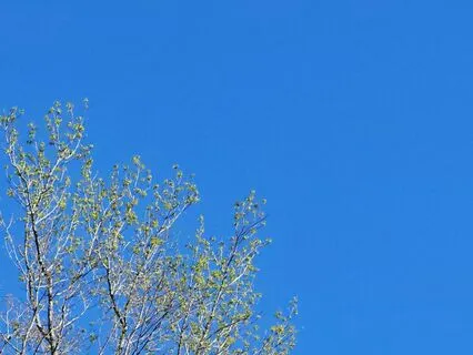 The Awakening Truth About Life's Failure