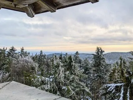 The Awareness That Witnesses All Things