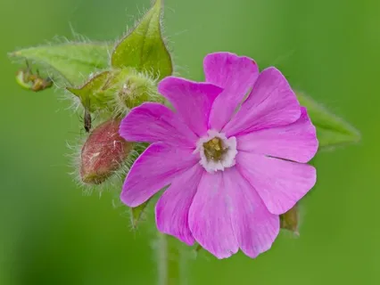 Day 24 - The Awe Of Nature - April 06