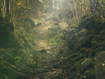 The Baba Yaga's Ancient Goddess Wisdom